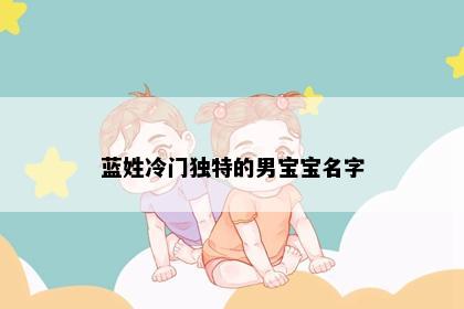 蓝姓冷门独特的男宝宝名字