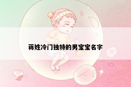 蒋姓冷门独特的男宝宝名字