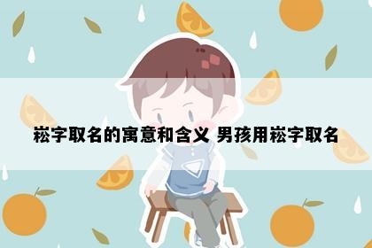 崧字取名的寓意和含义 男孩用崧字取名