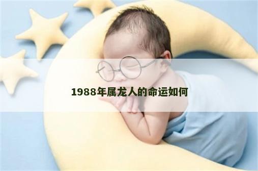 1988年属龙人的命运如何