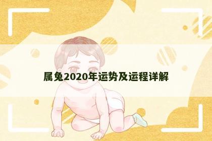 属兔2020年运势及运程详解