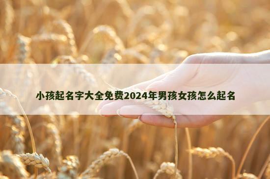 小孩起名字大全免费2024年男孩女孩怎么起名