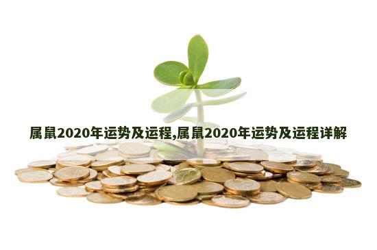 属鼠2020年运势及运程,属鼠2020年运势及运程详解