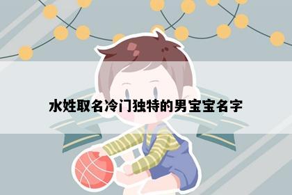 水姓取名冷门独特的男宝宝名字