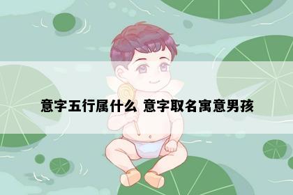 意字五行属什么 意字取名寓意男孩