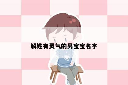 解姓有灵气的男宝宝名字