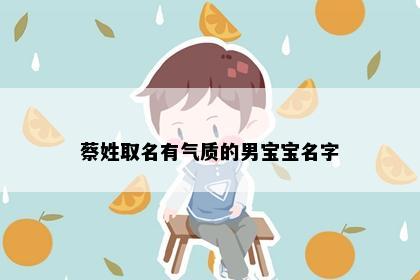 蔡姓取名有气质的男宝宝名字