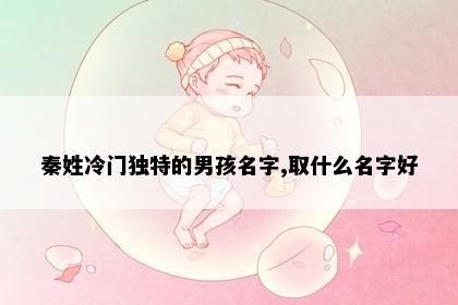 秦姓冷门独特的男孩名字,取什么名字好