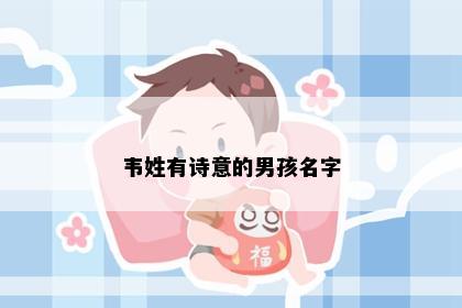 韦姓有诗意的男孩名字