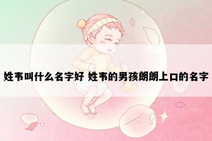 姓韦叫什么名字好 姓韦的男孩朗朗上口的名字