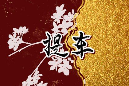 2024年12月29日是提车好日子吗 宜买新车吉日查询 2024年12月29日是提车好日子吗 宜买新车吉日查询