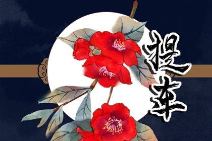 2026年02月14日提车日子如何 提车买车吉利吗 2026年02月14日提车日子如何 提车买车吉利吗
