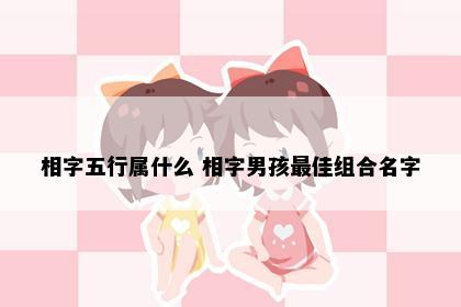 相字五行属什么 相字男孩最佳组合名字
