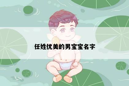 任姓优美的男宝宝名字
