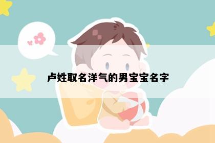 卢姓取名洋气的男宝宝名字