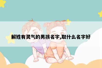 解姓有灵气的男孩名字,取什么名字好