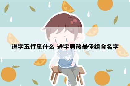 进字五行属什么 进字男孩最佳组合名字