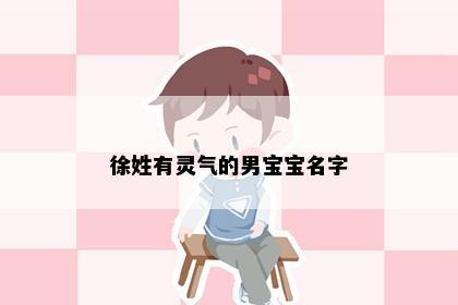 徐姓有灵气的男宝宝名字