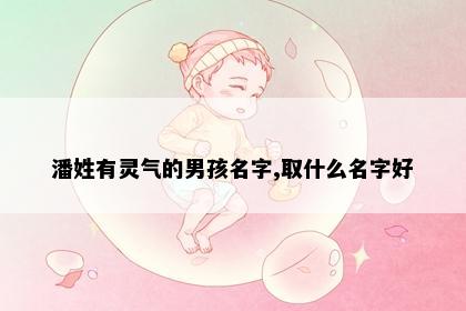 潘姓有灵气的男孩名字,取什么名字好