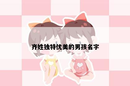 齐姓独特优美的男孩名字
