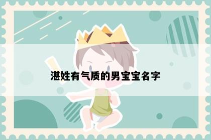 湛姓有气质的男宝宝名字
