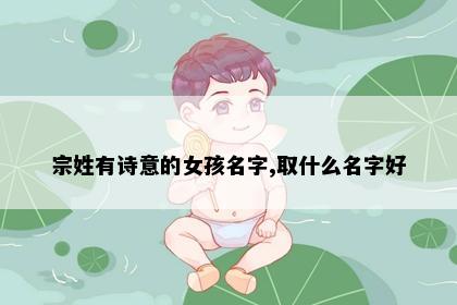 宗姓有诗意的女孩名字,取什么名字好