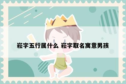 崧字五行属什么 崧字取名寓意男孩