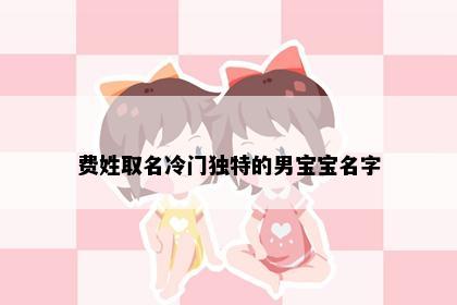 费姓取名冷门独特的男宝宝名字