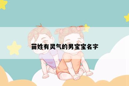 苗姓有灵气的男宝宝名字