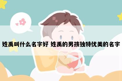 姓禹叫什么名字好 姓禹的男孩独特优美的名字