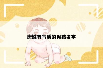 唐姓有气质的男孩名字