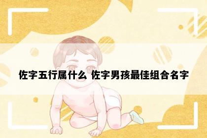 佐字五行属什么 佐字男孩最佳组合名字