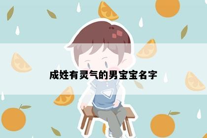 成姓有灵气的男宝宝名字