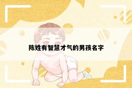 陈姓有智慧才气的男孩名字