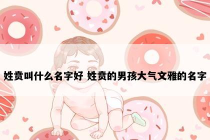 姓贲叫什么名字好 姓贲的男孩大气文雅的名字