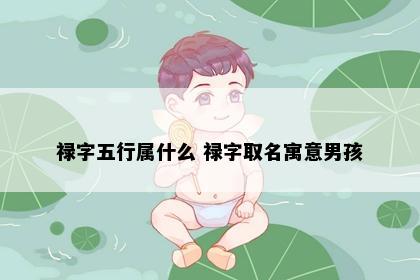 禄字五行属什么 禄字取名寓意男孩