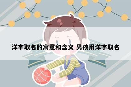洋字取名的寓意和含义 男孩用洋字取名