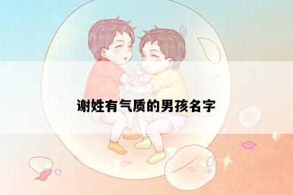 谢姓有气质的男孩名字