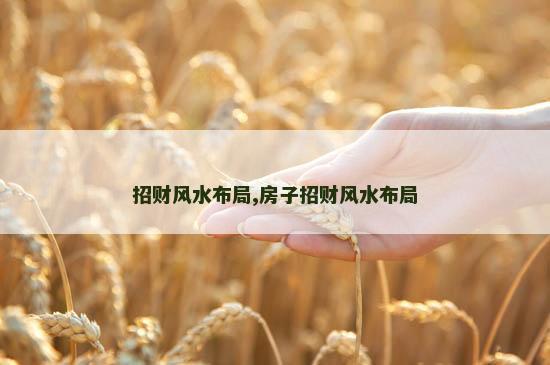招财风水布局,房子招财风水布局