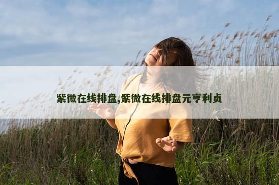 紫微在线排盘,紫微在线排盘元亨利贞