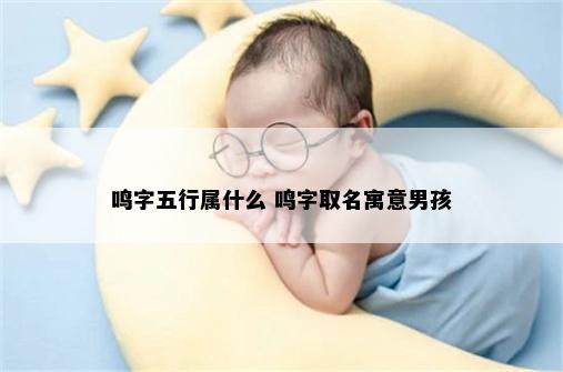 鸣字五行属什么 鸣字取名寓意男孩