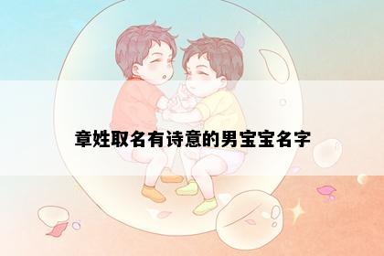 章姓取名有诗意的男宝宝名字
