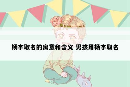 杨字取名的寓意和含义 男孩用杨字取名