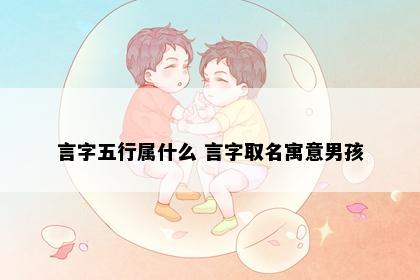 言字五行属什么 言字取名寓意男孩