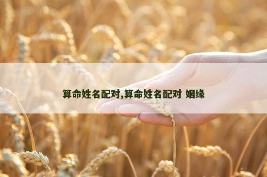 算命姓名配对,算命姓名配对 姻缘