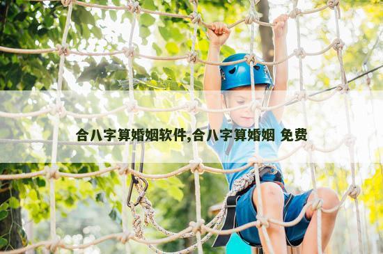合八字算婚姻软件,合八字算婚姻 免费