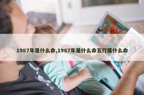 1987年是什么命,1987年是什么命五行属什么命