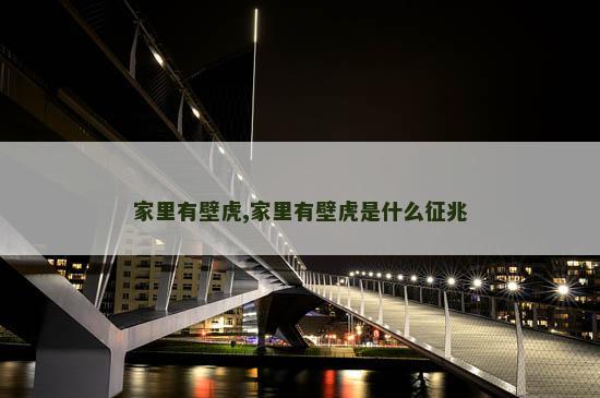 家里有壁虎,家里有壁虎是什么征兆