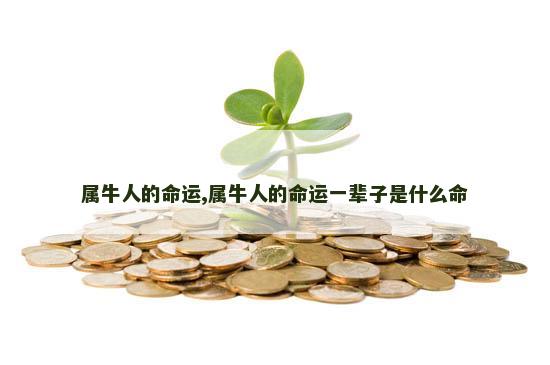 属牛人的命运,属牛人的命运一辈子是什么命