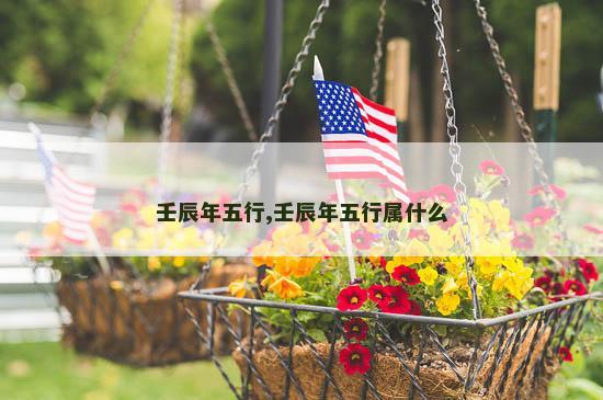 壬辰年五行,壬辰年五行属什么 壬辰年五行,壬辰年五行属什么